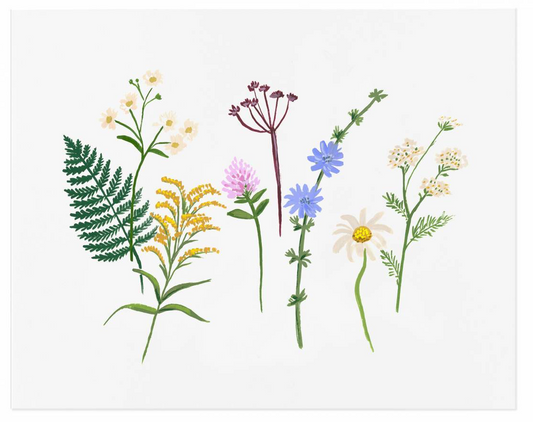 Wildflowers Art Print