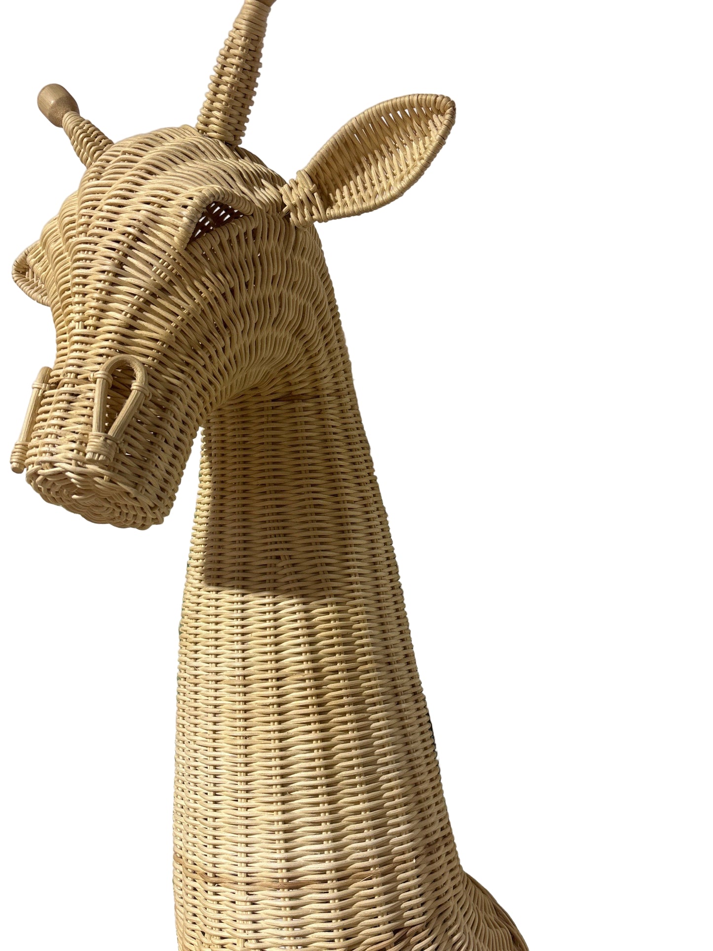 Jerapha the Giraffe