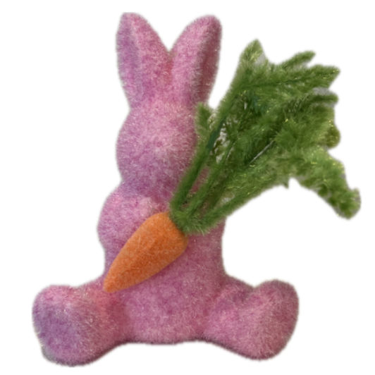 Mini Bunnies with Carrots