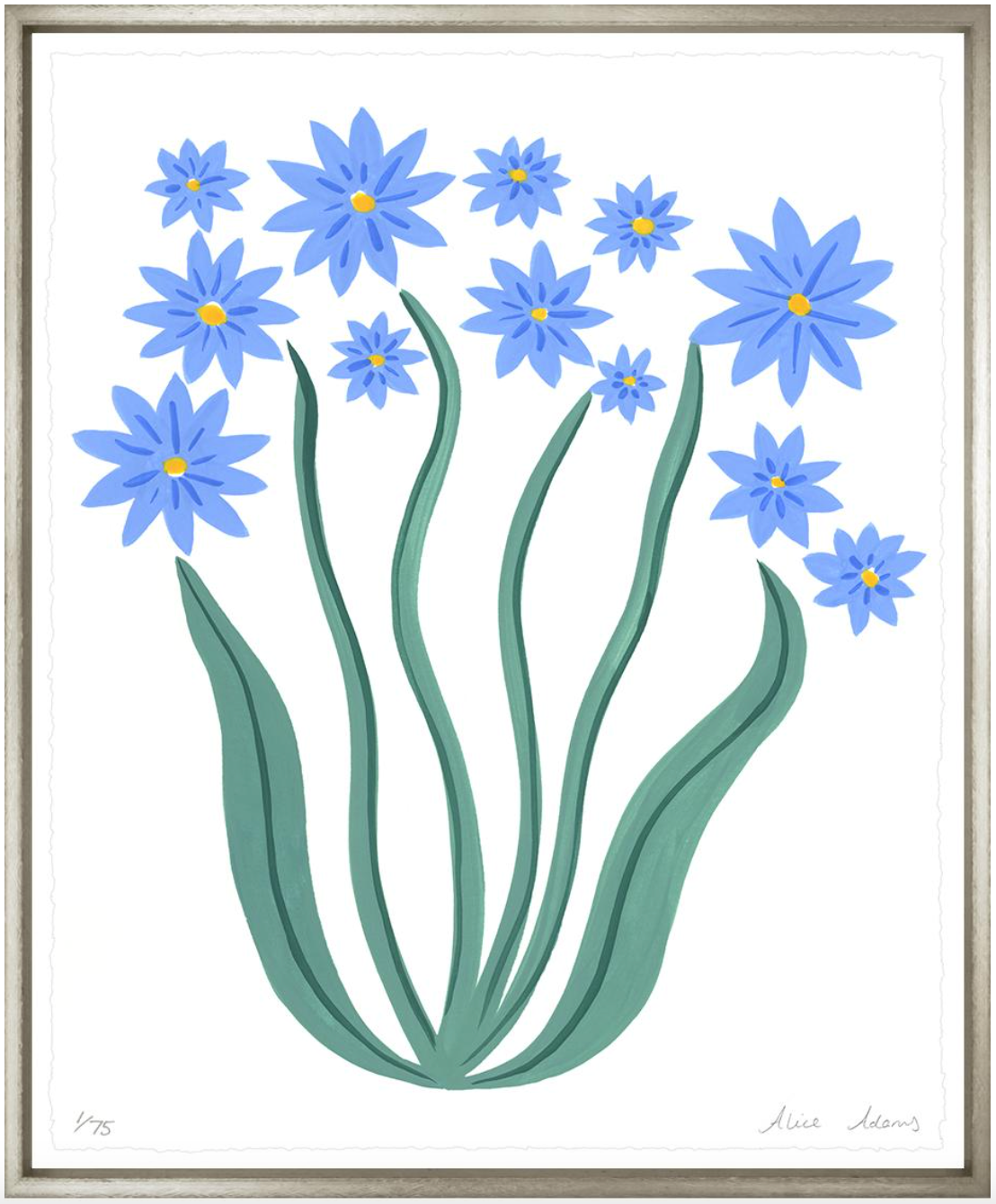 Blue Daisies