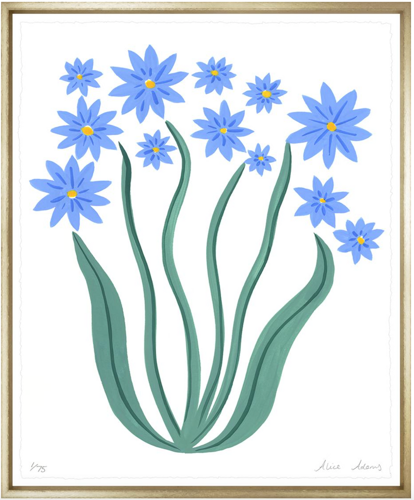 Blue Daisies