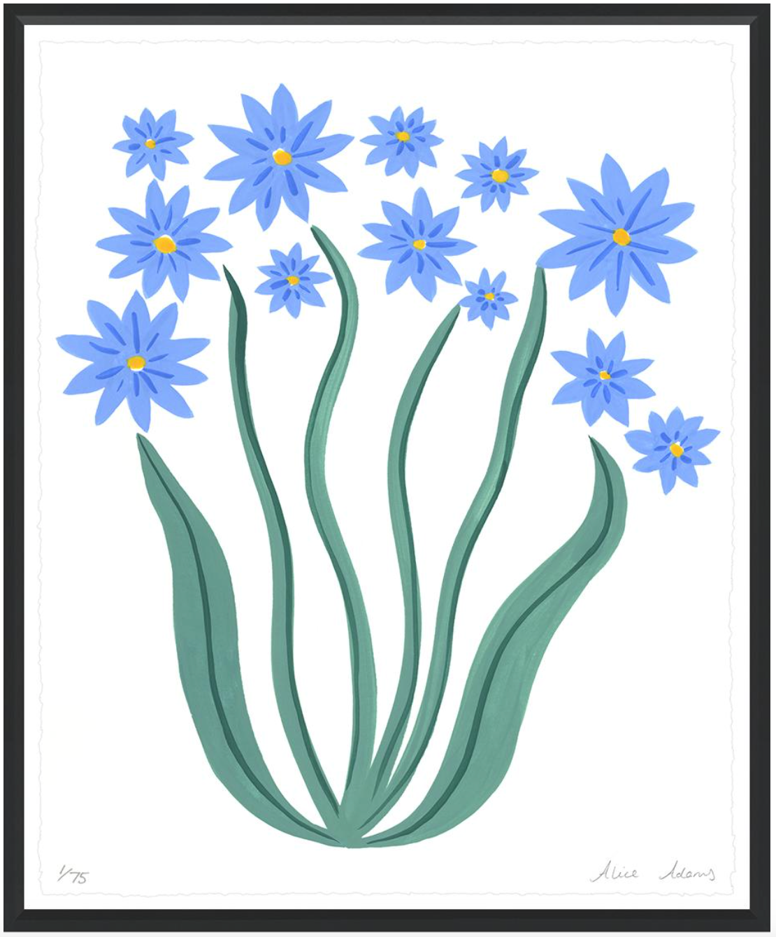 Blue Daisies