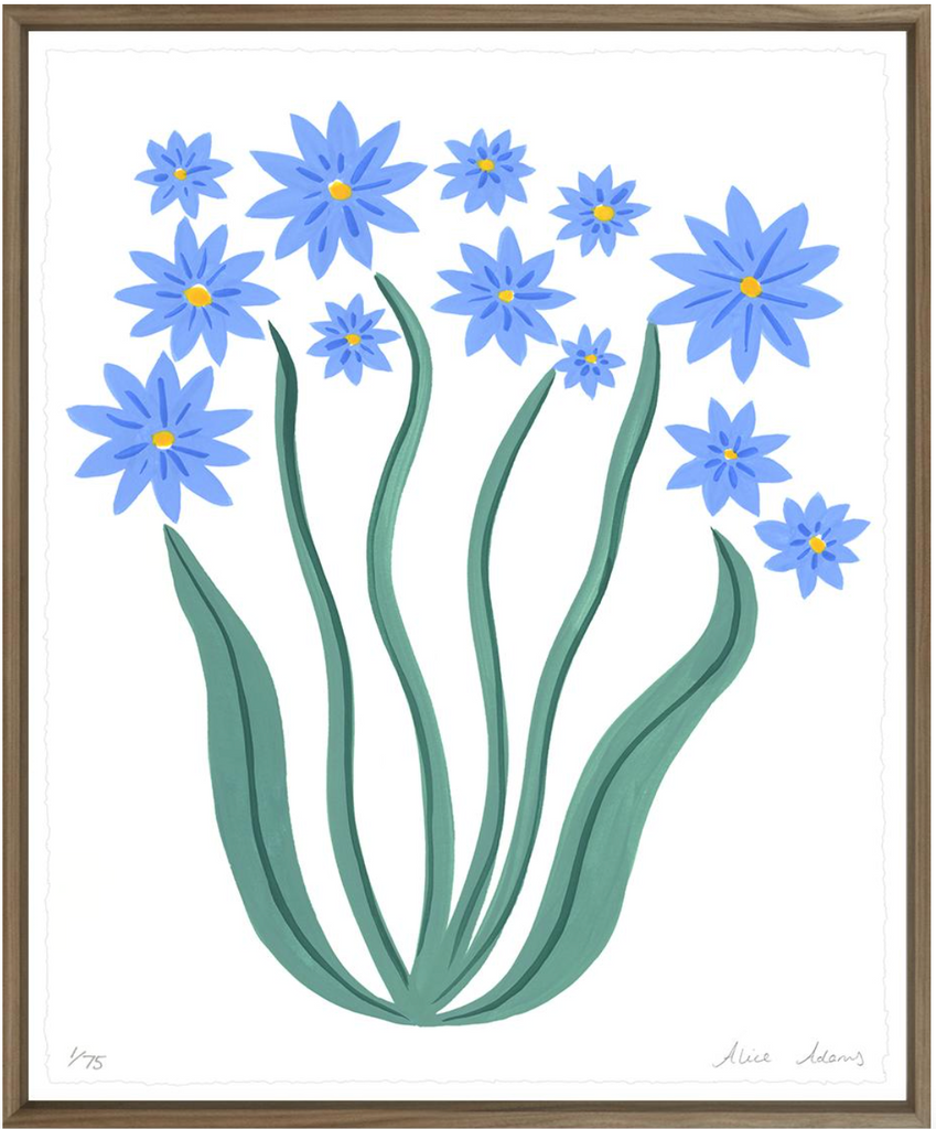 Blue Daisies