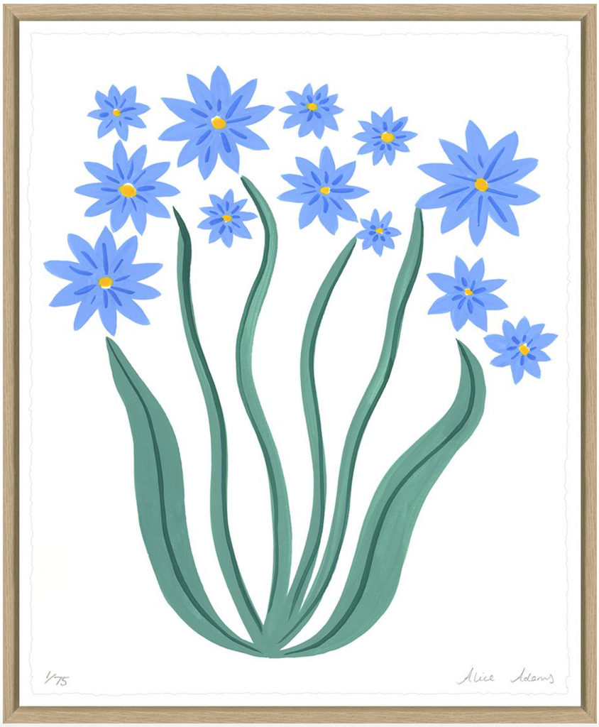 Blue Daisies