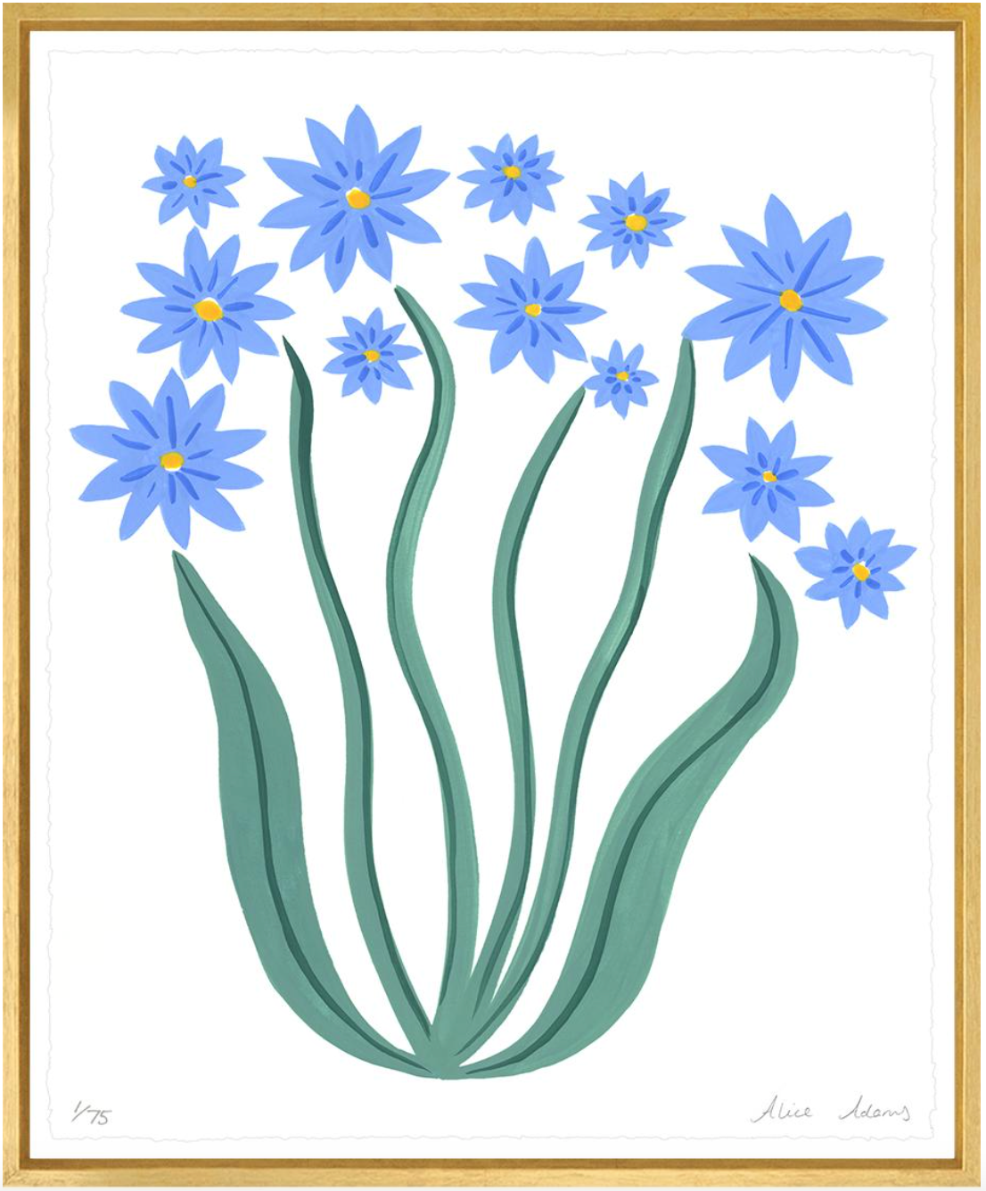 Blue Daisies