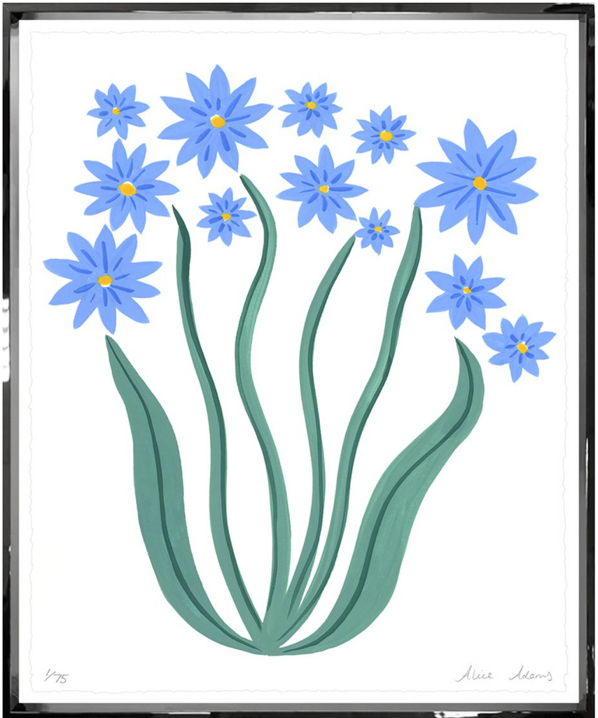 Blue Daisies