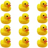 Rubber Duckie